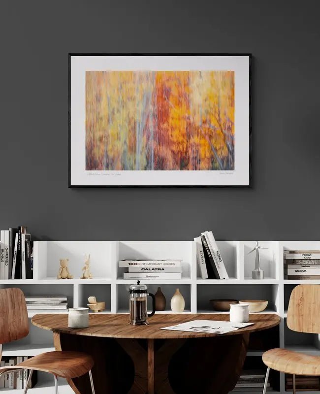 “Abstract Autumn” Queenstown, New Zealand