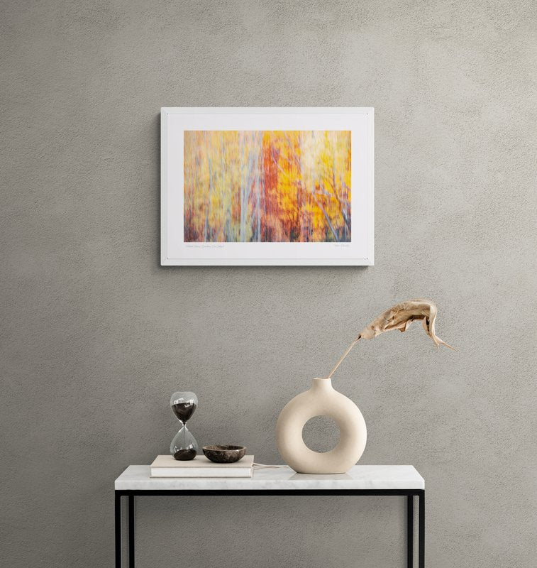 “Abstract Autumn” Queenstown, New Zealand