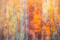 “Abstract Autumn” Queenstown, New Zealand