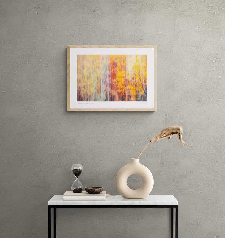 “Abstract Autumn” Queenstown, New Zealand