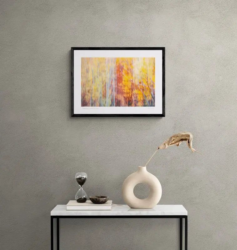 “Abstract Autumn” Queenstown, New Zealand