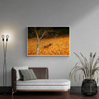 Autumn Serenity, Mount Wilson, Sydney Australia