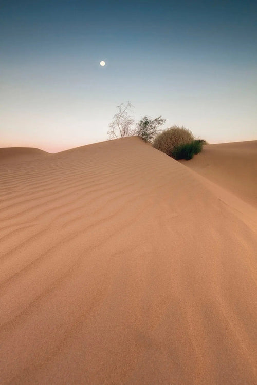 "Lunar Whisper over Mungo Dunes" - Mungo National Park, Australia (int)