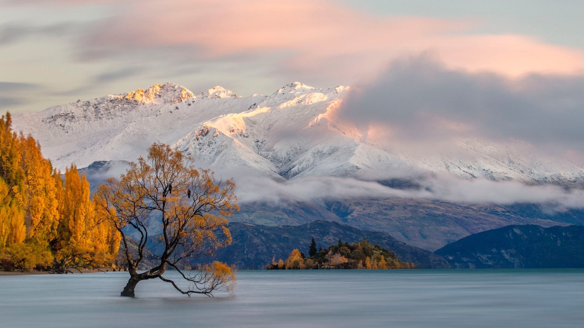 "That Tree" Wanaka, New Zealand.