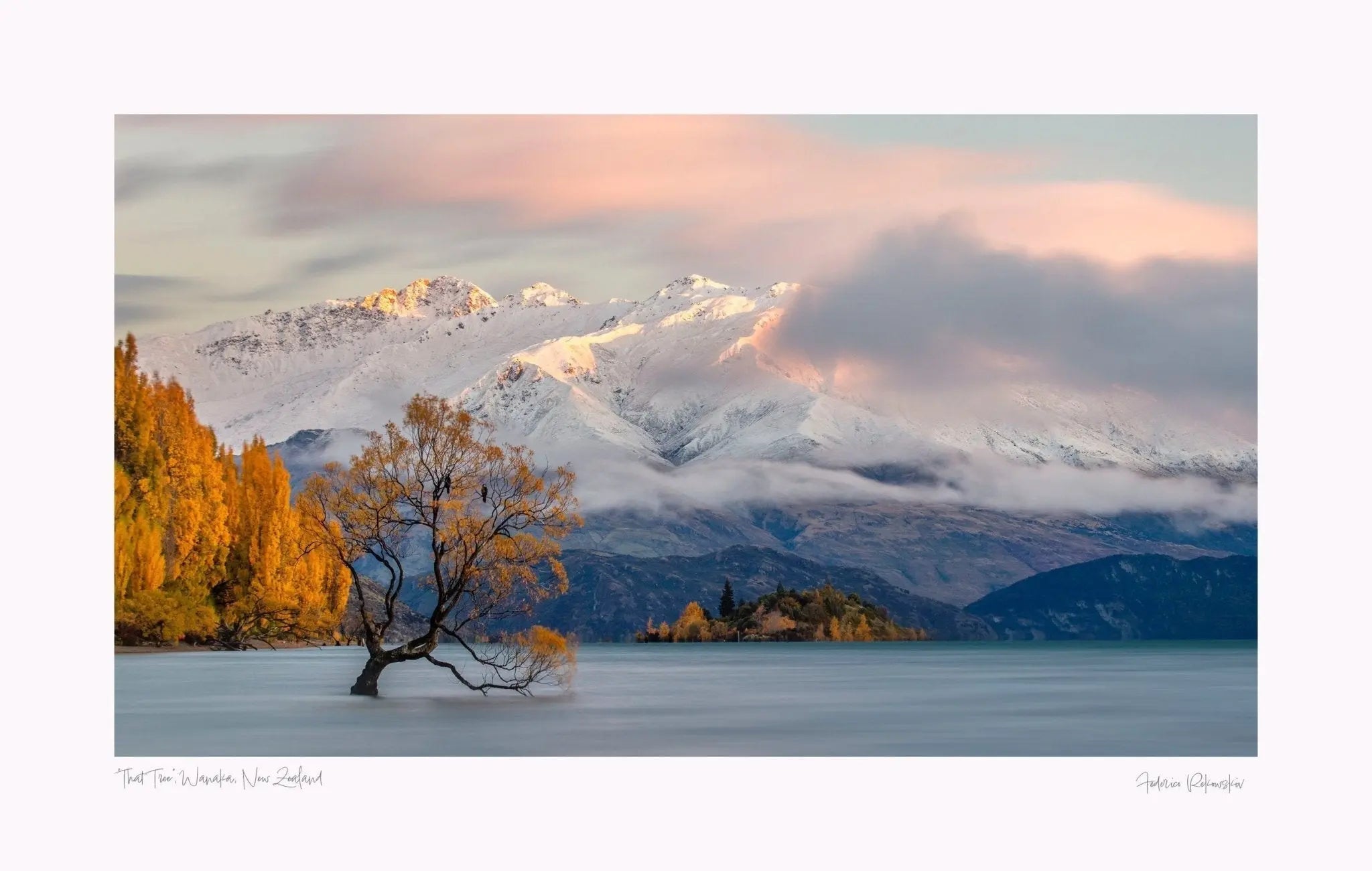 "That Tree" Wanaka, New Zealand. (int)