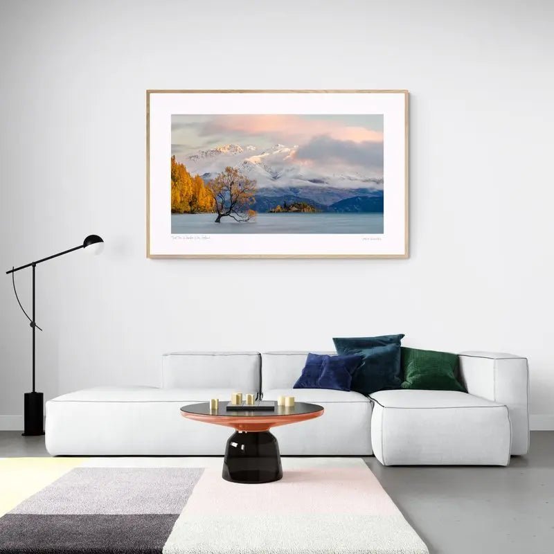 "That Tree" Wanaka, New Zealand. (int)
