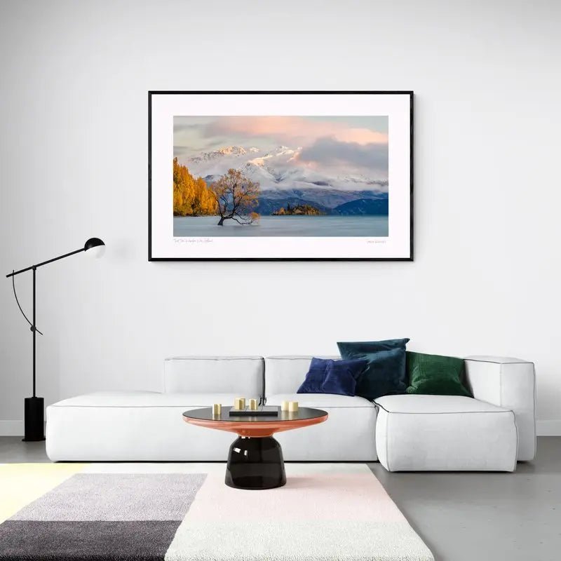 "That Tree" Wanaka, New Zealand. (int)