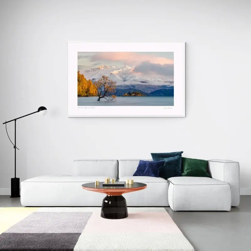 "That Tree" Wanaka, New Zealand. (int)