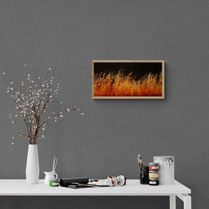 Tuscan Embers, Tuscany, Italy