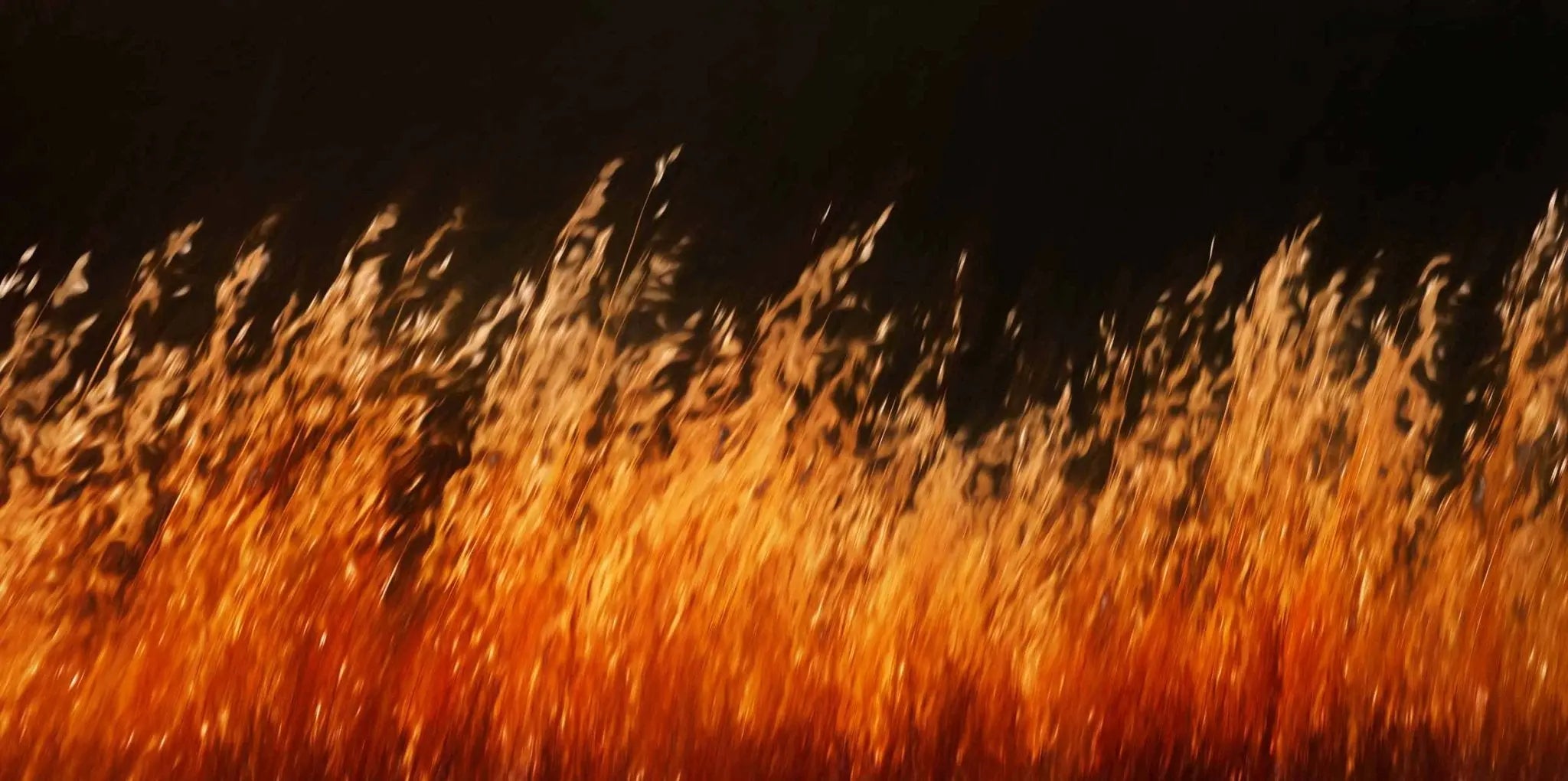 Tuscan Embers, Tuscany, Italy