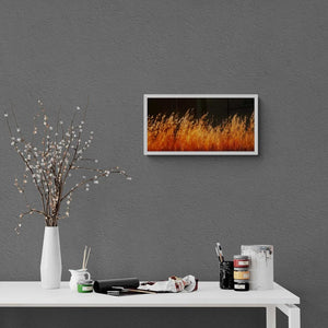 Tuscan Embers, Tuscany, Italy