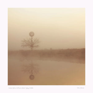 Whispers of Dawn at Richmond Lowlands, Sydney, Australia