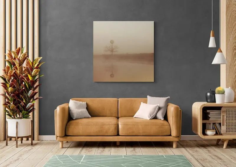 Whispers of Dawn at Richmond Lowlands, Sydney, Australia